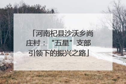 河南杞县沙沃乡尚庄村：“五星”支部引领下的振兴之路