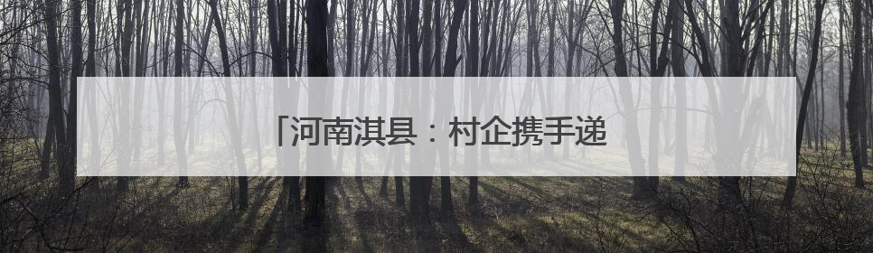 河南淇县：村企携手递关爱，浓情关爱暖人心