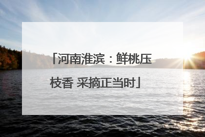 河南淮滨：鲜桃压枝香 采摘正当时