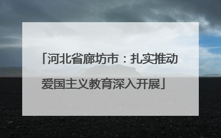 河北省廊坊市：扎实推动爱国主义教育深入开展