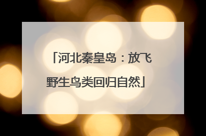 河北秦皇岛：放飞野生鸟类回归自然