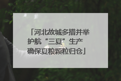 河北故城多措并举护航“三夏”生产 确保夏粮颗粒归仓