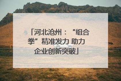 河北沧州：“组合拳”精准发力 助力企业创新突破