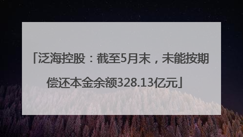 泛海控股：截至5月末，未能按期偿还本金余额328.13亿元