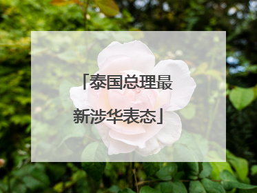 泰国总理最新涉华表态