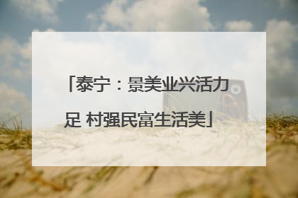 泰宁：景美业兴活力足 村强民富生活美