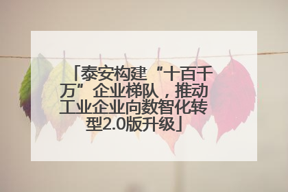 泰安构建“十百千万”企业梯队，推动工业企业向数智化转型2.0版升级