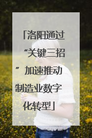 洛阳通过“关键三招”加速推动制造业数字化转型