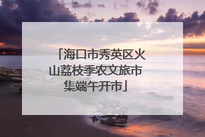 海口市秀英区火山荔枝季农文旅市集端午开市