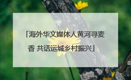 海外华文媒体人黄河寻麦香 共话运城乡村振兴