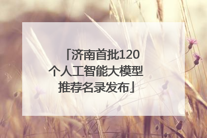 济南首批120个人工智能大模型推荐名录发布