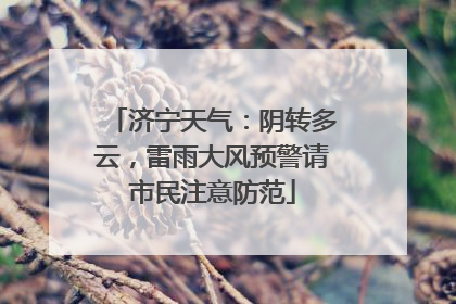 济宁天气：阴转多云，雷雨大风预警请市民注意防范