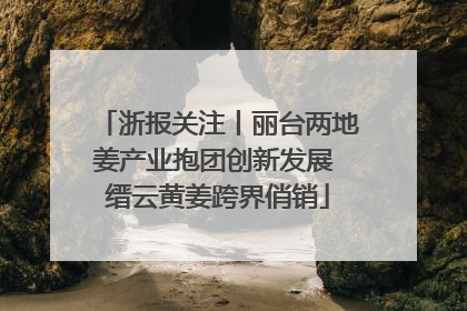 浙报关注丨丽台两地姜产业抱团创新发展 缙云黄姜跨界俏销