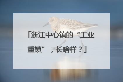 浙江中心镇的“工业重镇”，长啥样？