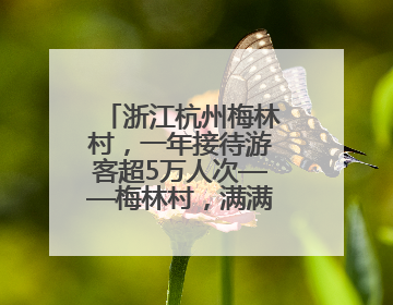 浙江杭州梅林村，一年接待游客超5万人次——梅林村，满满人气从何来（经济新方位·农村消费观察）