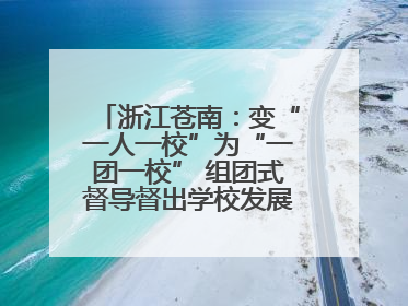 浙江苍南：变“一人一校”为“一团一校” 组团式督导督出学校发展加速度