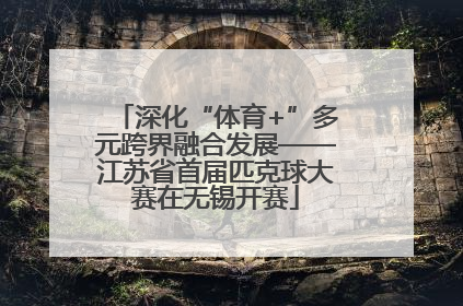 深化“体育+”多元跨界融合发展——江苏省首届匹克球大赛在无锡开赛