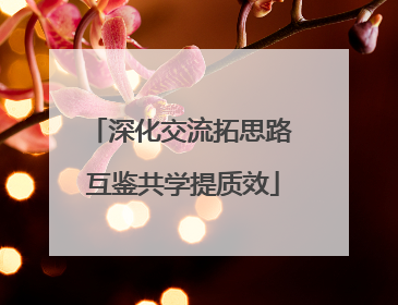 深化交流拓思路 互鉴共学提质效