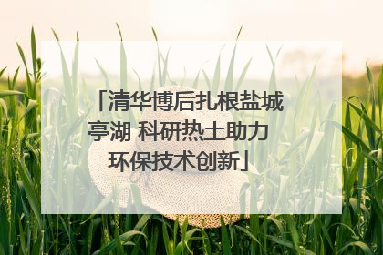 清华博后扎根盐城亭湖 科研热土助力环保技术创新