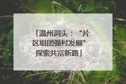 温州洞头：“片区组团强村发展”探索共富新路