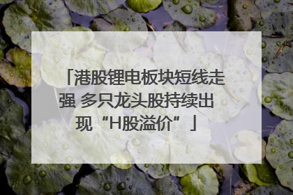 港股锂电板块短线走强 多只龙头股持续出现“H股溢价”