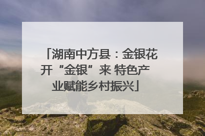 湖南中方县：金银花开“金银”来 特色产业赋能乡村振兴