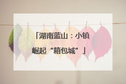 湖南蓝山：小镇崛起“箱包城”