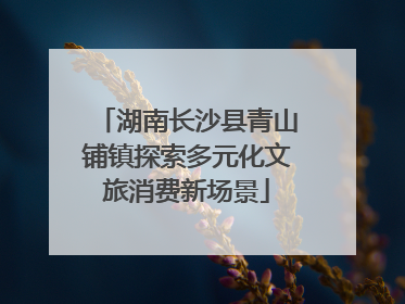 湖南长沙县青山铺镇探索多元化文旅消费新场景