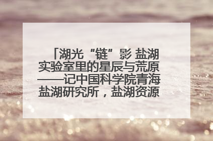 湖光“链”影 盐湖实验室里的星辰与荒原——记中国科学院青海盐湖研究所，盐湖资源化学实验室党总支书记、副主任刘忠