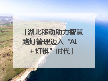 湖北移动助力智慧路灯管理迈入“AI＋灯链”时代