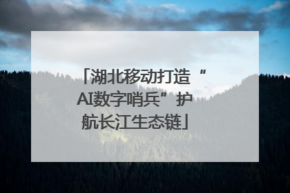 湖北移动打造“AI数字哨兵”护航长江生态链