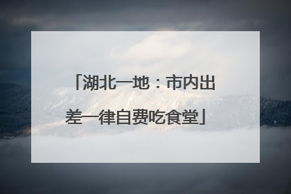 湖北一地：市内出差一律自费吃食堂