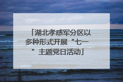 湖北孝感军分区以多种形式开展“七一”主题党日活动