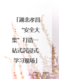 湖北孝昌：“安全大集”打造一站式沉浸式学习现场