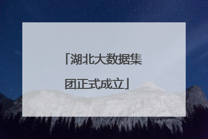 湖北大数据集团正式成立