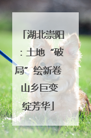 湖北崇阳：土地“破局”绘新卷 山乡巨变绽芳华