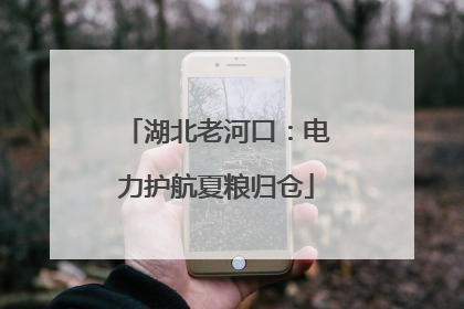 湖北老河口：电力护航夏粮归仓