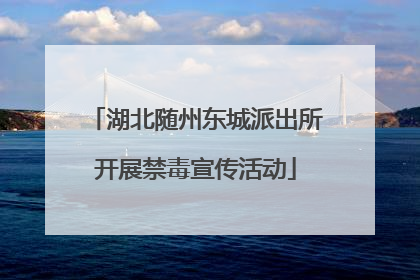 湖北随州东城派出所开展禁毒宣传活动