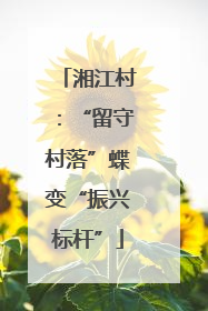湘江村：“留守村落”蝶变“振兴标杆”