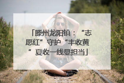 滕州龙阳镇：“志愿红”守护“丰收黄”夏收一线显担当