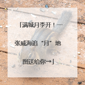 满城月季开！一张威海追“月”地图送给你→