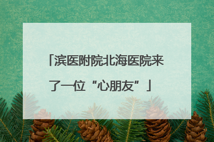 滨医附院北海医院来了一位“心朋友”