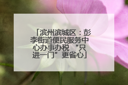 滨州滨城区：彭李街道便民服务中心办事办税 “只进一门”更省心