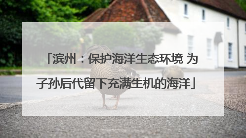 滨州：保护海洋生态环境 为子孙后代留下充满生机的海洋