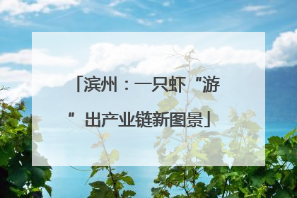 滨州：一只虾“游”出产业链新图景
