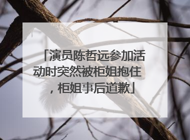 演员陈哲远参加活动时突然被柜姐抱住，柜姐事后道歉