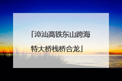 漳汕高铁东山跨海特大桥栈桥合龙