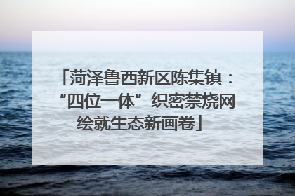 菏泽鲁西新区陈集镇：“四位一体”织密禁烧网 绘就生态新画卷