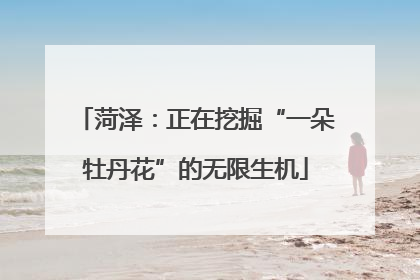 菏泽：正在挖掘“一朵牡丹花”的无限生机
