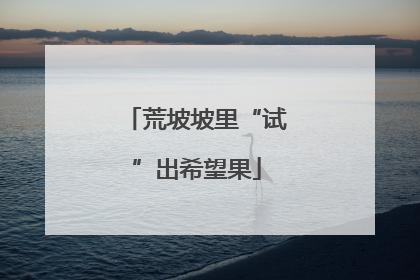 荒坡坡里“试”出希望果